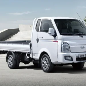 Hyundai H100
